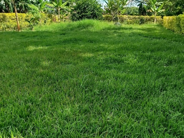#32 - Terreno en condominio para Venta en Jamundí - VAC - 2