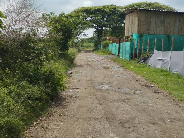 Terreno para Venta en Candelaria - 4
